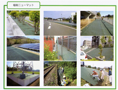 造園資材・庭木・卸販売：植樹ニューマット